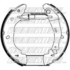 6289 TRUSTING Комплект тормозных колодок