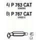 P763CAT