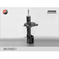 A61543C1 FENOX Амортизатор