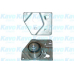 DTE-8509 KAVO PARTS Натяжной ролик, ремень грм