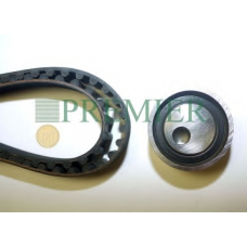 PBTK031 BRT Bearings Комплект ремня ГРМ