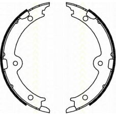 8100 13045 TRISCAN Комплект тормозных колодок, стояночная тормозная с