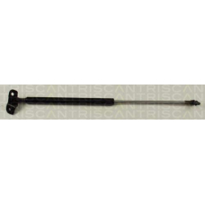 8710 21203 TRIDON Gas spring rear