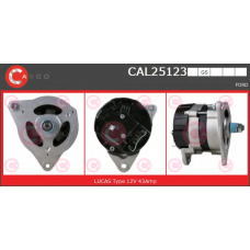 CAL25123GS CASCO Генератор