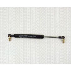 8710 14216 TRIDON Gas spring rear