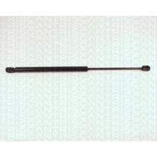 8710 24212 TRIDON Gas spring rear