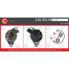 CAL30124GS CASCO Генератор