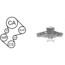 WPK-169101 AIRTEX Водяной насос + комплект зубчатого ремня