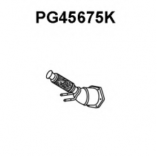 PG45675K VENEPORTE Катализатор