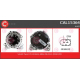 CAL15364<br />CASCO