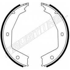 079.194 TRUSTING Комплект тормозных колодок, стояночная тормозная с