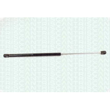 8710 23202 TRIDON Gas spring rear