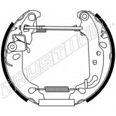 6239 TRUSTING Комплект тормозных колодок