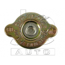 D21000 Japan Cars Coolant thermostat