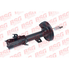 BSG 30-300-031 BSG Амортизатор