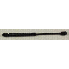 8710 14227 TRIDON Gas spring rear