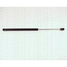 8710 25209 TRIDON Gas spring rear