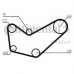 CT778 CONTITECH Ремень ГРМ
