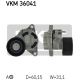 VKM 36041