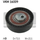 VKM 16009