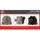 CAL15462