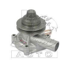 D17001 Japan Cars Водяной насос